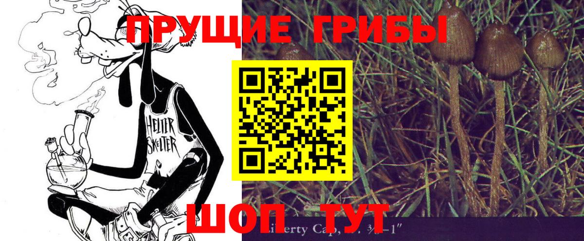 Галлюциногенные грибы Psilocybine cubensis Владивосток