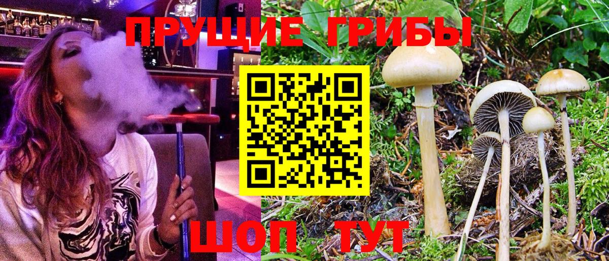 что такое   Псилоцибиновые грибы Psilocybine cubensis  Вход с VPN  Владивосток 